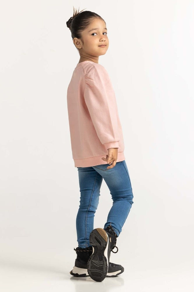 Pink Embroidered Sweatshirt 224-612-008