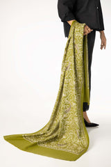 Green Blended Embroidered Scarf SH-24-137