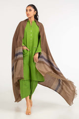 Brown Border Line Shawl-23-23 C