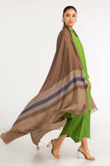 Brown Border Line Shawl-23-23 C