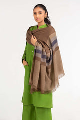 Brown Border Line Shawl-23-23 C