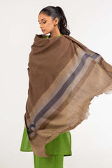 Brown Border Line Shawl-23-23 C