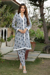 2 Piece Lawn Unstitched Digital Printed Suit TL-32063