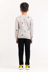 Toddler Boy Light Grey Knit Sweater 224-511-022