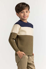 Toddler Boy Multi Basic Sweater TB-SWT-WS23-011