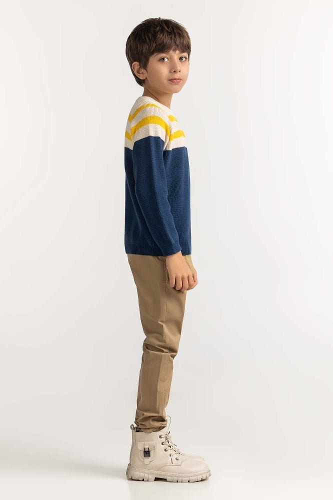 Toddler Boy Multi Basic Sweater TB-SWT-WS23-031