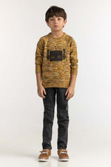 Toddler Boy Multi Basic Sweater TB-SWT-WS23-036