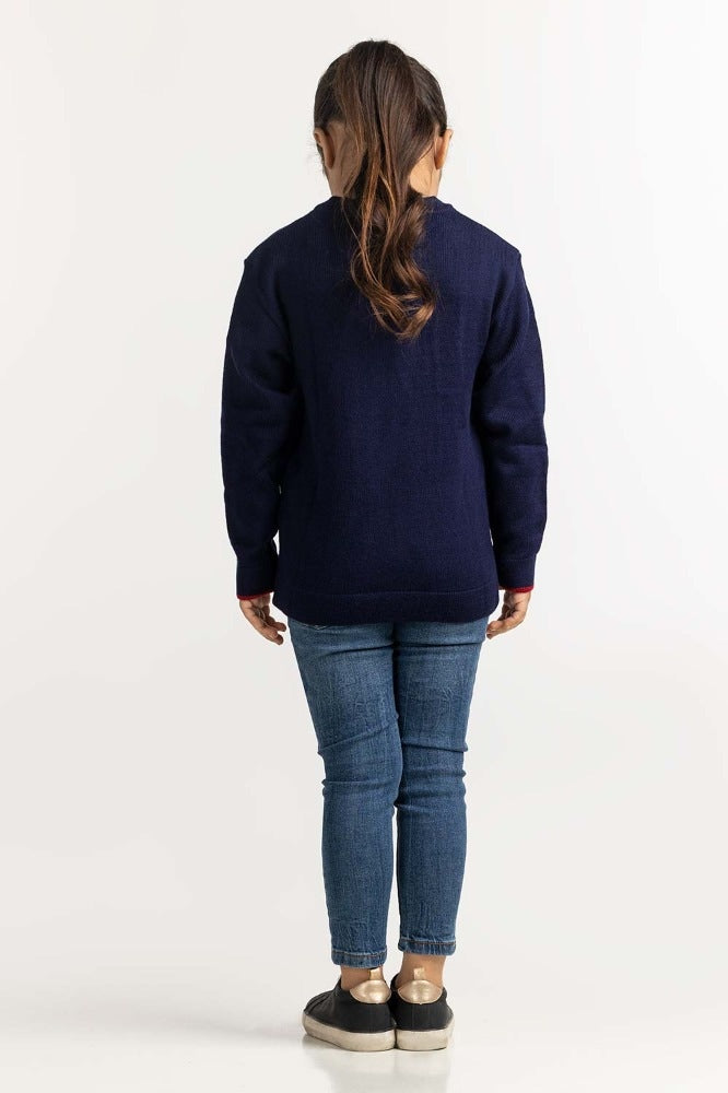 Toddler Girl Blue Basic Sweater TG-SWT-WS23-010