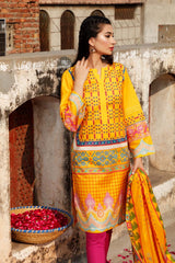 2 Piece Unstitched Lawn Printed Suit TL-334 B
