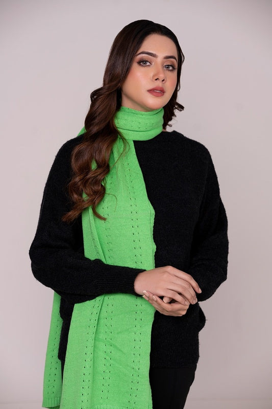 Muffler WG-MF-W22-003