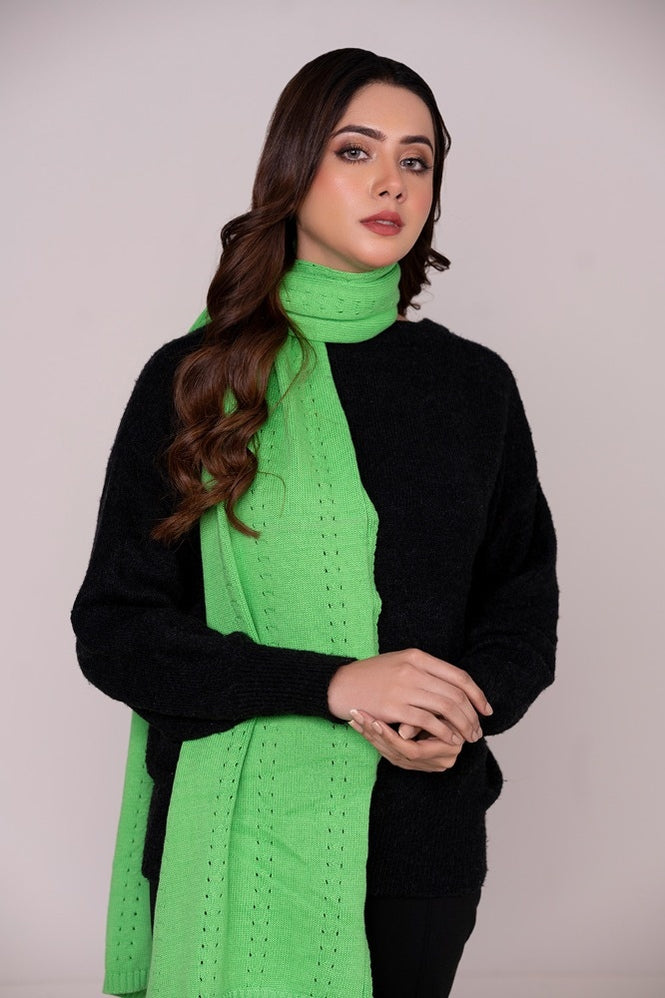 Muffler WG-MF-W22-003