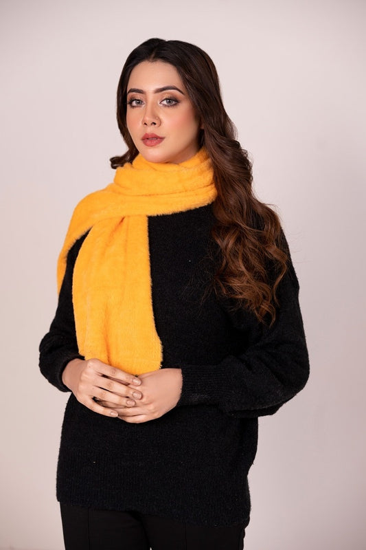 Muffler WG-MF-W22-008