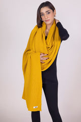 Dyed Knitted Shawl WG-SH-W22-123