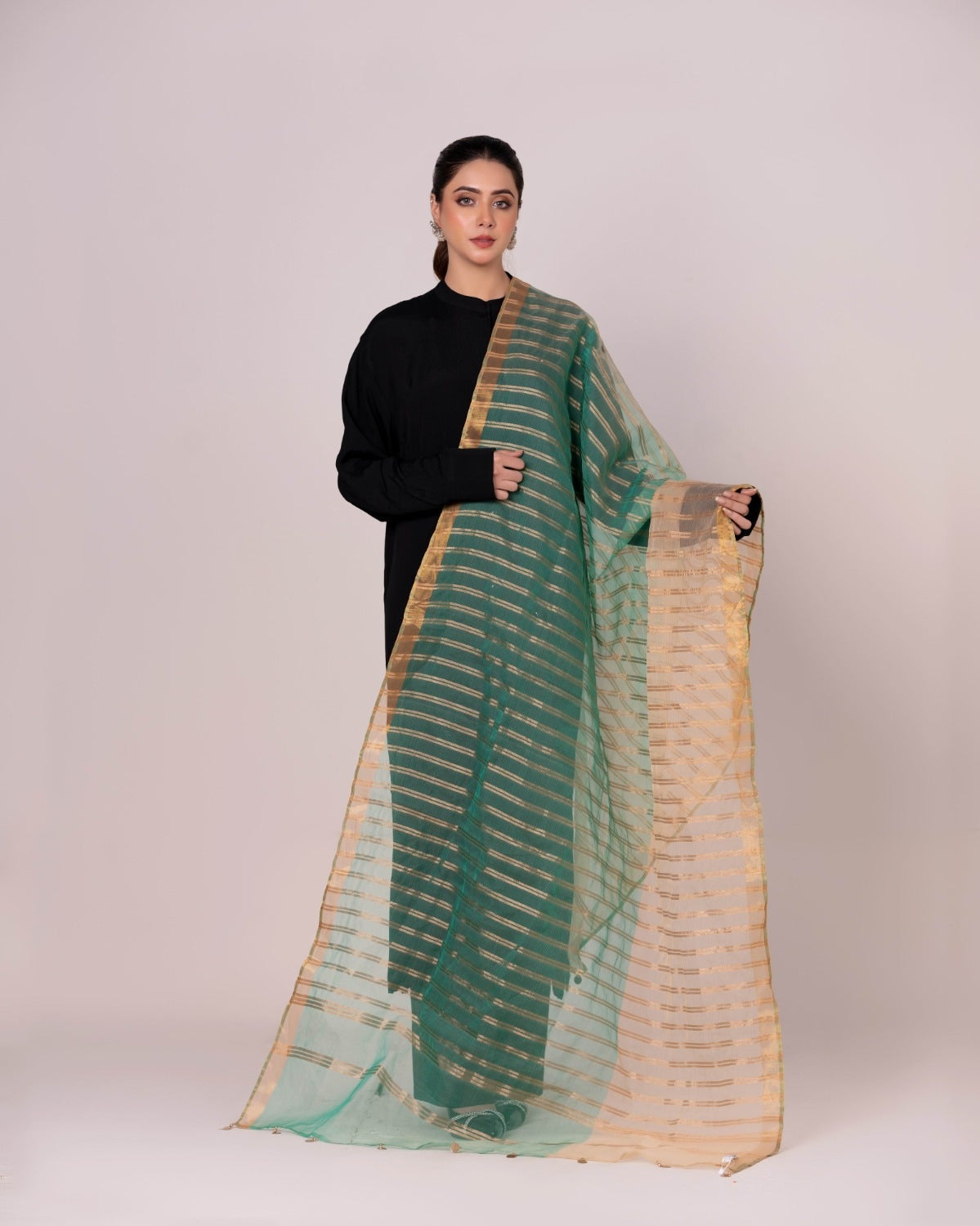 Odhani Embllished Dupatta