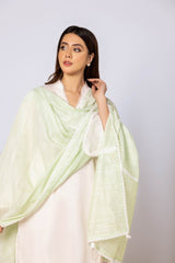 Odhani Embllished Dupatta WGK-DPT-JQ-92