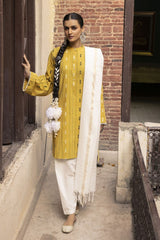 Jacquard Shirt And Dyed Trouser With Jacquard Dupatta WGK-YDS-DY-2563