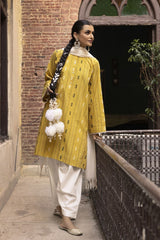 Jacquard Shirt And Dyed Trouser With Jacquard Dupatta WGK-YDS-DY-2563