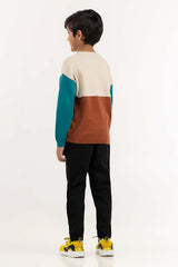 Toddler Boy White And Green Color Block Knit Sweater 224-511-040